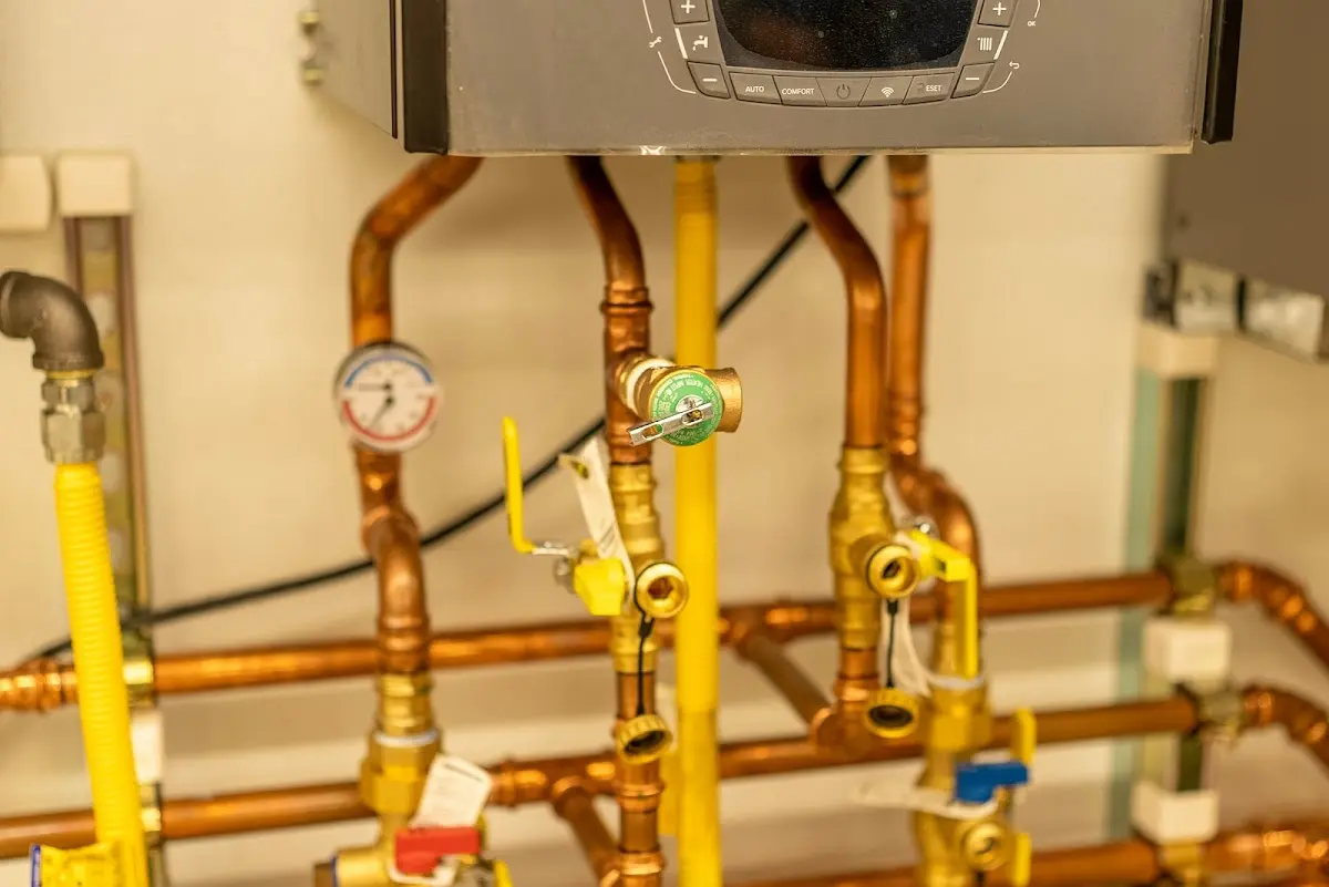 Licensed technician providing Emergency Plumbing for a homeowner in Sunnyside